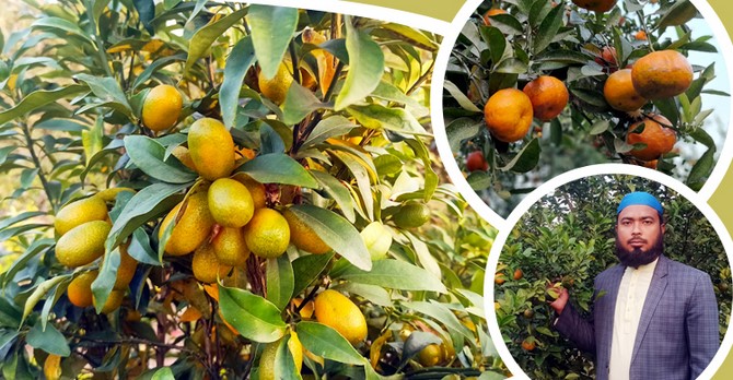 সমন্বিত খামারে সফল সোহান, বছরে লাভ ১৫ লাখ সমন্বিত খামারে সফল সোহান, বছরে লাভ ১৫ লাখ