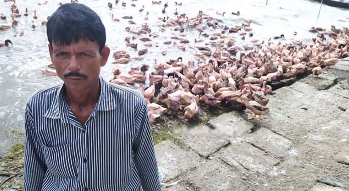 হাঁস পালনে স্বাবলম্বী দুই ভাই! হাঁস পালনে স্বাবলম্বী দুই ভাই!