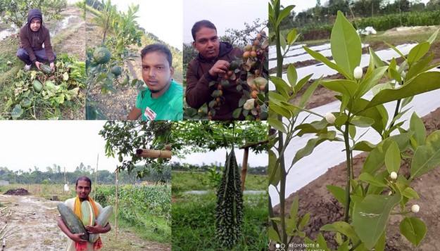 ইঞ্জিনিয়ারিং ছেড়ে কৃষি উদ্যোক্তা আজিজুর