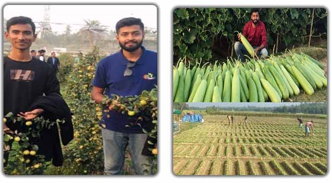 ফল ও সবজি চাষে দুই বন্ধুর বাজিমাত! ফল ও সবজি চাষে দুই বন্ধুর বাজিমাত!