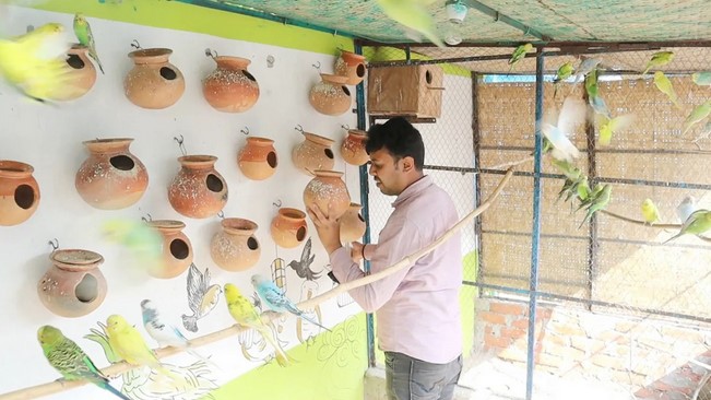 শখের পোষা পাখি এখন আয়ের উৎস তামিমের শখের পোষা পাখি এখন আয়ের উৎস তামিমের