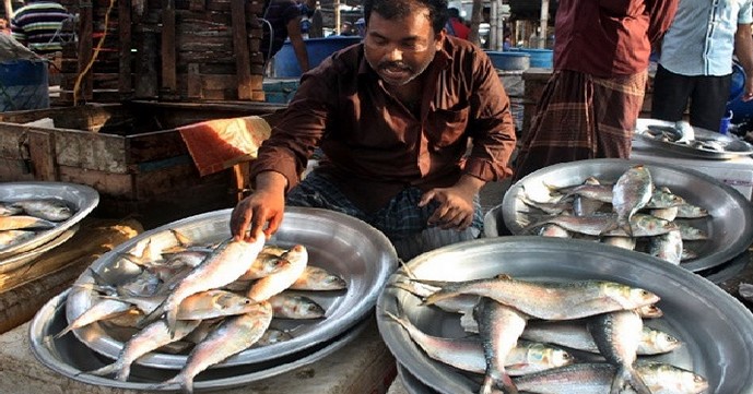 খুলনায় মাইকিং করে ৩০০-৪০০ টাকা কেজিতে ইলিশ বিক্রি খুলনায় মাইকিং করে ৩০০-৪০০ টাকা কেজিতে ইলিশ বিক্রি