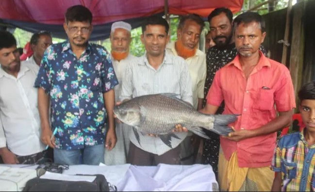 সাড়ে ৭ কেজির কাতলা ধরে জিতলেন আড়াই লাখ টাকা