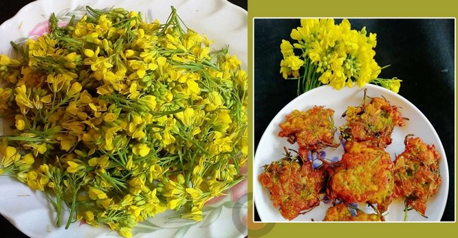 সরিষা ফুলের বড়া তৈরির রেসিপি সরিষা ফুলের বড়া তৈরির রেসিপি