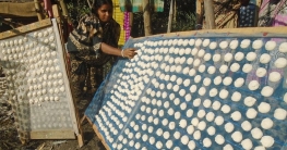 কুমড়ো বড়ি তৈরিতে ব্যস্ত সারিয়াকান্দির সাহাপাড়ার বাসিন্দারা কুমড়ো বড়ি তৈরিতে ব্যস্ত সারিয়াকান্দির সাহাপাড়ার বাসিন্দারা