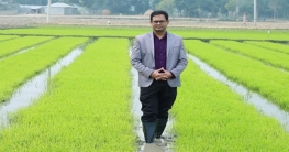 নন্দীগ্রামে আদর্শ বীজতলা তৈরীতে ঝুঁকছে কৃষকরা