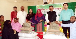 নন্দীগ্রামে বিনামূল্যে সার-বীজ বিতরণ নন্দীগ্রামে বিনামূল্যে সার-বীজ বিতরণ