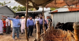 সারিয়াকান্দির আশ্রয়ণ প্রকল্প পরিদর্শনে অতিরিক্ত জেলা প্রশাসক সারিয়াকান্দির আশ্রয়ণ প্রকল্প পরিদর্শনে অতিরিক্ত জেলা প্রশাসক