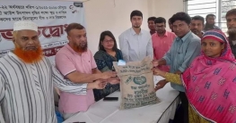 শিবগঞ্জে বিনামূল্যে কৃষকদের মাঝে সার-বীজ বিতরণ শিবগঞ্জে বিনামূল্যে কৃষকদের মাঝে সার-বীজ বিতরণ