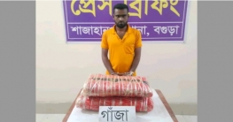 বগুড়ায় ৮ কেজি গাঁজাসহ পিকআপ ভ্যানচালক গ্রেপ্তার