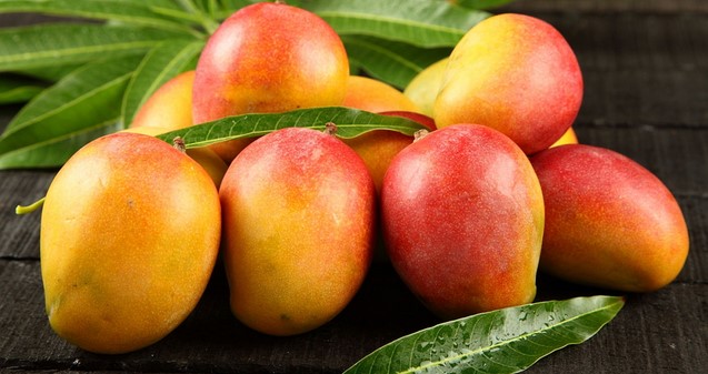 আম খাওয়ার অপকারিতা আম খাওয়ার অপকারিতা