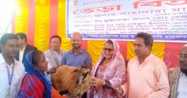 সারিয়াকান্দিতে ৩৩৮ টি ভেড়া বিতরণ করলেন সাহাদারা মান্নান এমপি সারিয়াকান্দিতে ৩৩৮ টি ভেড়া বিতরণ করলেন সাহাদারা মান্নান এমপি