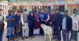 গাবতলীতে জাতীয় সাংবাদিক সংস্থার উদ্যোগে গরু বিতরণ