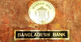 ডলারে অতিরিক্ত মুনাফা সিএসআর করতে হবে কৃষিতে