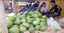 শীতের আমেজ না কাটতেই গ্রীষ্মকালীন ফলে ভরপুর শাজাহানপুরের বাজার শীতের আমেজ না কাটতেই গ্রীষ্মকালীন ফলে ভরপুর শাজাহানপুরের বাজার
