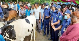 শাজাহানপুরে কোরবানীর পশুরহাট পরিদর্শন করলেন এসপি সুদীপ শাজাহানপুরে কোরবানীর পশুরহাট পরিদর্শন করলেন এসপি সুদীপ