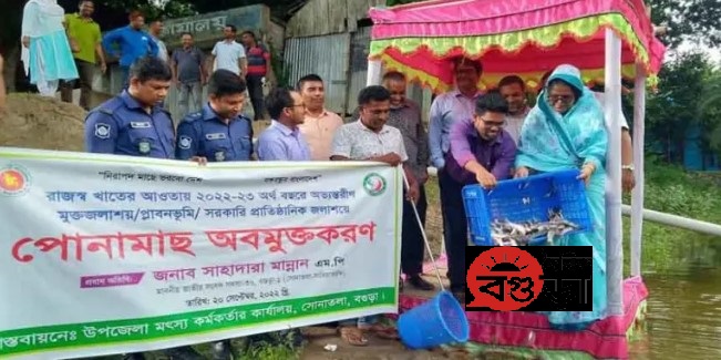 সোনাতলায় পুকুরে মাছের পোনা অবমুক্তকরণ করেন এমপি সাহাদারা মান্নান