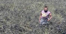 গাবতলীতে ব্লাক রাইসে কৃষকের হাসির ঝিলিক গাবতলীতে ব্লাক রাইসে কৃষকের হাসির ঝিলিক