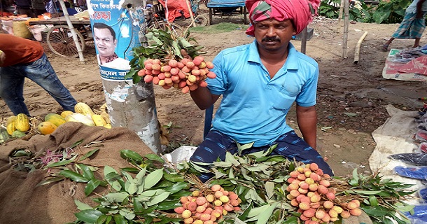 নন্দীগ্রামের বাজারে উঠতে শুরু করেছে রসালো ফল লিচু নন্দীগ্রামের বাজারে উঠতে শুরু করেছে রসালো ফল লিচু