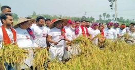 শেখ হাসিনার নির্দেশে বঙ্গবন্ধুর সৈনিকরা কৃষকের পাশে- ম. রাজ্জাক