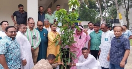 সোনাতলায় বৃক্ষরোপণ কর্মসূচি`র উদ্বোধন করলেন সাহাদারা এমপি