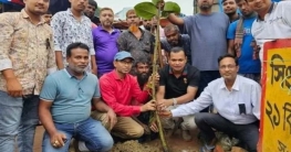 নন্দীগ্রামে বঙ্গমাতার জন্মবার্ষিকীতে বৃক্ষরোপন