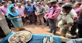 আদমদীঘি ও সান্তাহারে নিষিদ্ধ পিরানহা মাছ বিক্রি, একজনের জরিমানা আদমদীঘি ও সান্তাহারে নিষিদ্ধ পিরানহা মাছ বিক্রি, একজনের জরিমানা