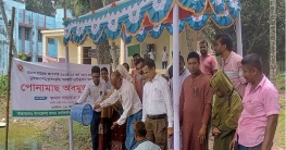 সোনাতলায় পোনামাছ অবমুক্তকরণে উপজেলা চেয়ারম্যান