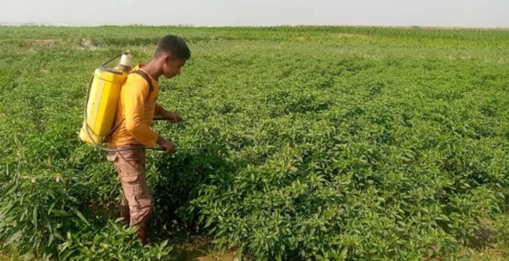 সারিয়াকান্দিতে আগাম জাতের ফসল চাষে ব্যস্ত চাষিরা সারিয়াকান্দিতে আগাম জাতের ফসল চাষে ব্যস্ত চাষিরা