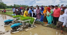 বগুড়ায় আধুনিক যন্ত্রের মাধ্যমে ধানের চারা রোপণ বগুড়ায় আধুনিক যন্ত্রের মাধ্যমে ধানের চারা রোপণ