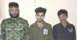বগুড়ায় চামড়া বোঝাই পিকআপে ১০০ কেজি গাঁজাসহ তিনজন গ্রেফতার বগুড়ায় চামড়া বোঝাই পিকআপে ১০০ কেজি গাঁজাসহ তিনজন গ্রেফতার