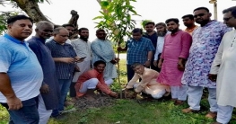 নন্দীগ্রাম উপজেলা কৃষক লীগের উদ্যোগে বৃক্ষরোপণ কর্মসূচি উদ্বোধন নন্দীগ্রাম উপজেলা কৃষক লীগের উদ্যোগে বৃক্ষরোপণ কর্মসূচি উদ্বোধন