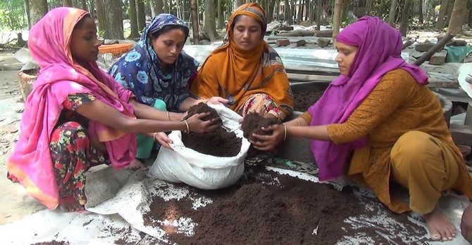 কেঁচো সারে ভাগ্য বদলেছেন রাজবাড়ির অর্ধশত নারী