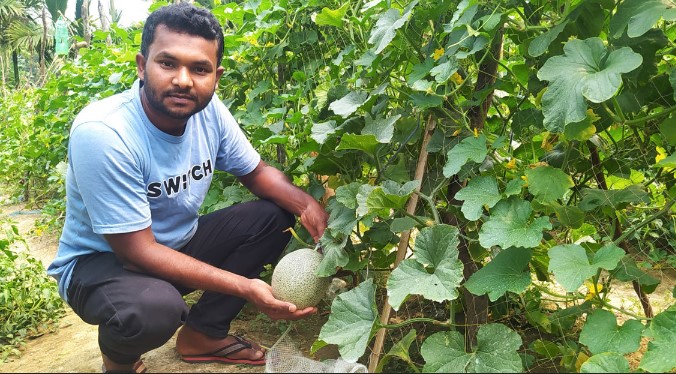 গারো পাহাড়ে সাম্মাম চাষ করে সফল আনোয়ার