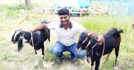পশুপালনে সফল হওয়ার স্বপ্ন অপুর