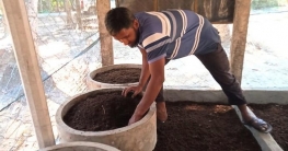 কেঁচো সার উৎপাদনে মোহাম্মদ আলীর ভাগ্যবদল!
