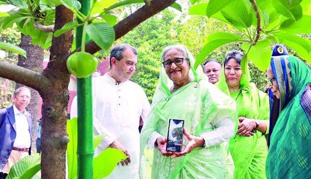 প্রত্যেককে অন্তত একটি করে গাছ লাগানোর আহ্বান প্রধানমন্ত্রীর