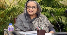 বিদ্যুৎ সমস্যার সমাধান ও মূল্যস্ফীতি রোধে প্রধানমন্ত্রীর নির্দেশ
