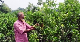 নার্সারির কারণে বদলে গেছে যে গ্রামের নাম