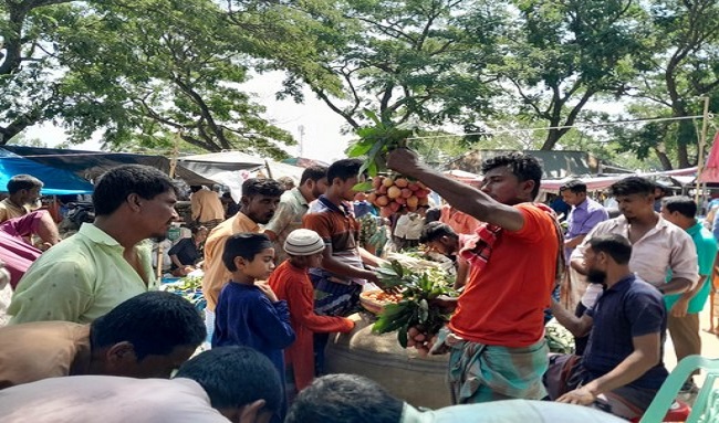 নন্দীগ্রামে মধুমাসে হরেক রকম ফলের সমারোহ