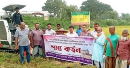 গাবতলীতে সমলয়ে কম্বাইন হারভেস্টার দিয়ে ধান কাটার উদ্বোধন