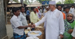 সাত মাস আগেই নির্বাচনী প্রচারণা শুরু এমপি হাবিবের