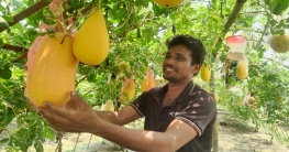 অসময়ে তরমুজ চাষে সফল নীলফামারীর ৩ কৃষক