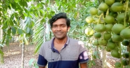 কুড়িগ্রামে লটকন চাষে স্কুল শিক্ষক মনিবুলের সাফল্য!