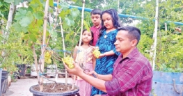 সেলিমের শখের ছাদবাগান