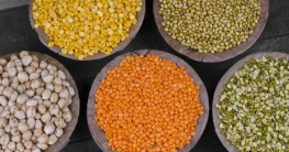 গরমে কোন ডাল খাবেন আর কোনটা খাবেন না?