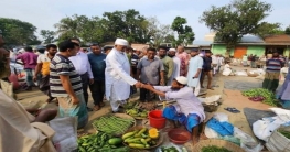 বগুড়ার শেরপুরে এমপি হাবিবরের নির্বাচনী জনসংযোগ