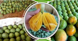 বেশি আম কিনে ঘরে সংরক্ষণের ক্ষেত্রে যা মানা জরুরি