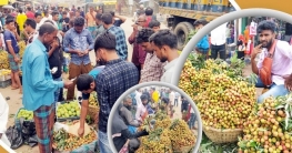 খাগড়াছড়ির বাজারে লিচুর সমাহার