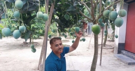 ব্যাপক সাড়া ফেলেছে ফরহাদের ‘আঙিনা বাগান’